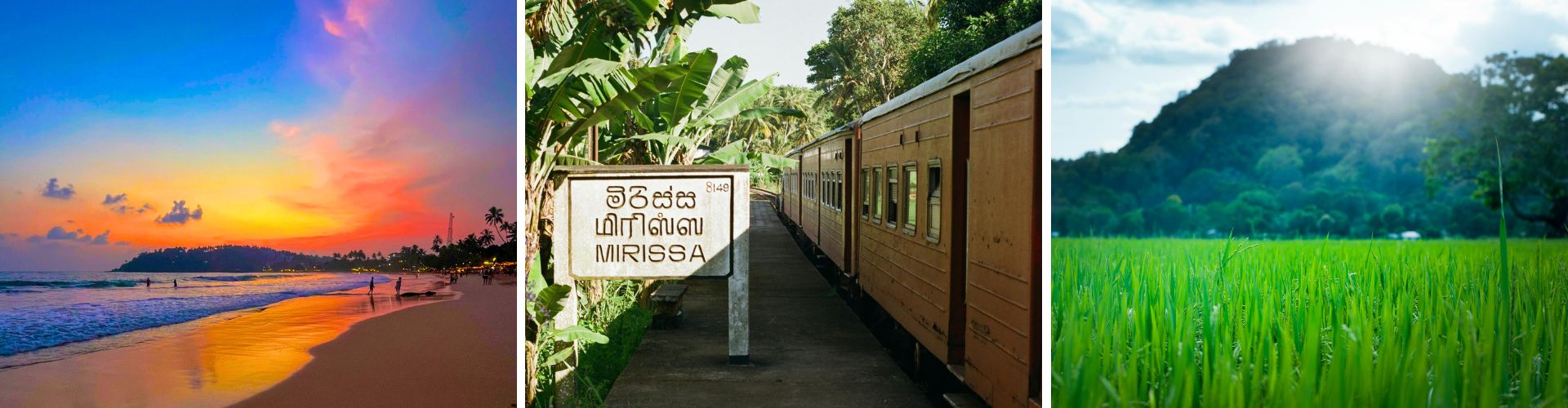 Sri Lanka Day 5 Sri Lanka Day 5